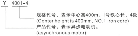 西安泰富西玛Y系列(H355-1000)高压YJTG-180L-6A/15KW三相异步电机型号说明