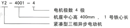 YR系列(H355-1000)高压YJTG-180L-6A/15KW三相异步电机西安西玛电机型号说明